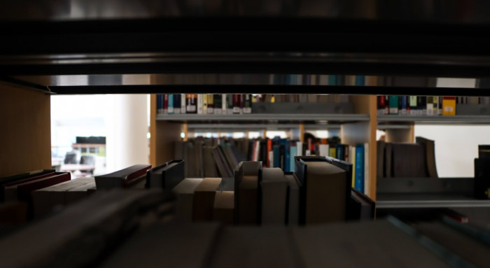 Pi ile Başlayan İngilizce Kelimeler