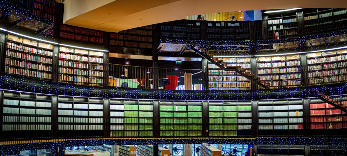 Polonya'da İngilizce Dil Eğitimi